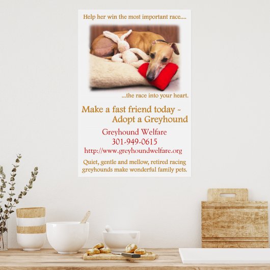 Ein Windhund adoptiert Poster (Küche)