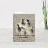 Ein Windhund, der das Surfen genießt. Karte (Rückseite)