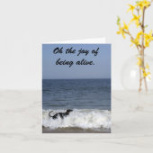 Ein Windhund, der das Surfen genießt. Karte (Gelbe Blume)