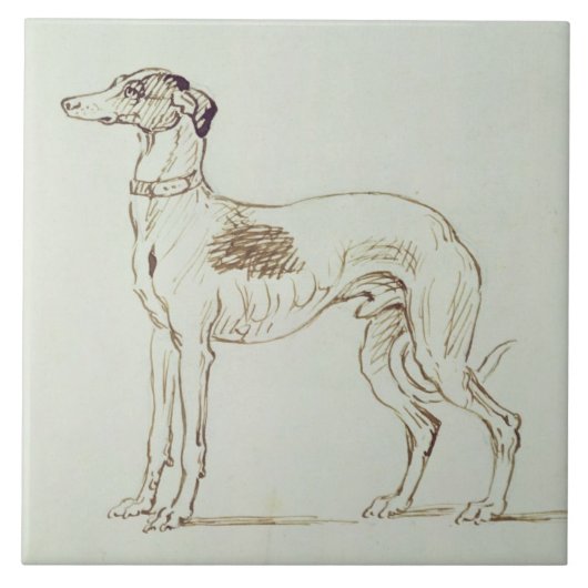 Ein Windhund, Gegenüberstellen verlassen (Stift u. Fliese (Vorderseite)