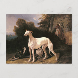 Ein Windhund in einer ausgedehnten Landschaft von  Postkarte