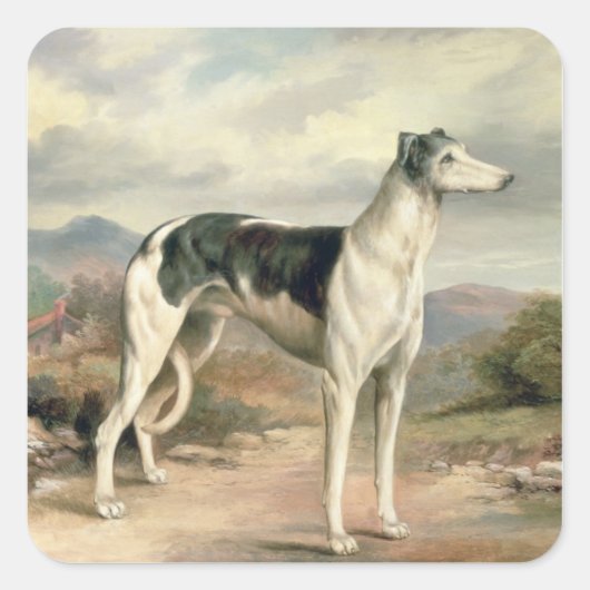 Ein Windhund in einer hügeligen Landschaft Quadratischer Aufkleber (Vorderseite)