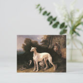 Ein Windhund in einer weiten Landschaft von de Dre Postkarte (Stehend Vorderseite)