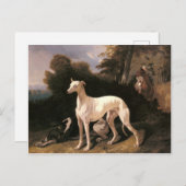 Ein Windhund in einer weiten Landschaft von de Dre Postkarte (Vorne/Hinten)