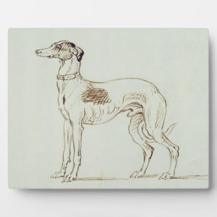 Ein Windhund, Links (Stift & Tinte auf Papier) Fotoplatte