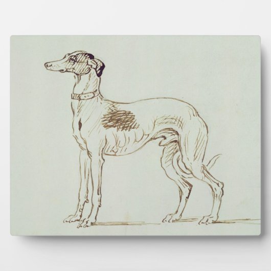 Ein Windhund, Links (Stift & Tinte auf Papier) Fotoplatte (Vorderseite)