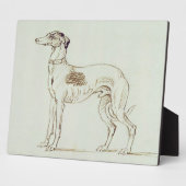 Ein Windhund, Links (Stift & Tinte auf Papier) Fotoplatte (Seite)