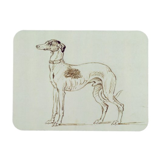Ein Windhund, Links (Stift & Tinte auf Papier) Magnet (Horizontal)