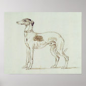 Ein Windhund, Links (Stift & Tinte auf Papier) Poster (Vorne)