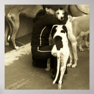 ein Windhund mit drei Beinen Poster