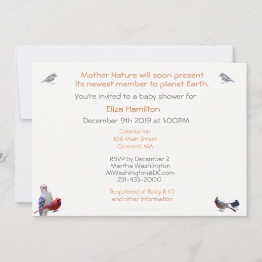 Ein Winter-Baby-Duschgeschlechtsneutral: Einladung (Rückseite)