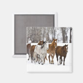 Ein Winter Landschaftlicher Laufpferde Magnet (Vorderseite/Rückseite)