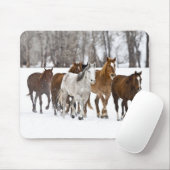 Ein Winter Landschaftlicher Laufpferde Mousepad (Mit Mouse)