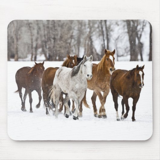 Ein Winter Landschaftlicher Laufpferde Mousepad (Vorne)
