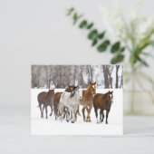 Ein Winter Landschaftlicher Laufpferde Postkarte (Stehend Vorderseite)