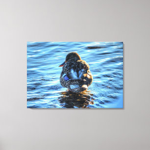 Ein Winter Mallard Fine Art Wildlife Fotograf Leinwanddruck