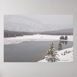 Ein Wintergebirgsszene n Banff Nationalpark Poster