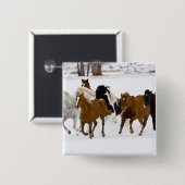 Ein winterlicher landschaftlicher Laufpferde Button (Vorne & Hinten)