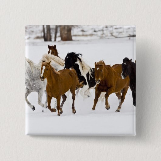Ein winterlicher landschaftlicher Laufpferde Button (Vorderseite)