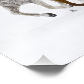 Ein winterlicher landschaftlicher Laufpferde Fotodruck (Ecke)