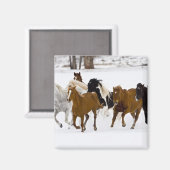Ein winterlicher landschaftlicher Laufpferde Magnet (Vorderseite/Rückseite)