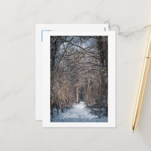 Ein Wintertag in Kluisbos Belgien Feiertagspostkarte