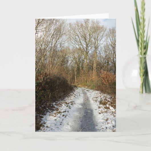 Ein Winterweg in Arnside Dankeskarte (Vorderseite)