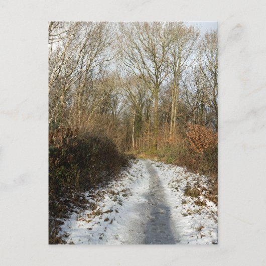 Ein Winterweg in Arnside Postkarte (Vorderseite)