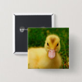 Ein winziges Duckling Button (Vorne & Hinten)
