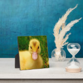 Ein winziges Duckling Fotoplatte (InSitu)