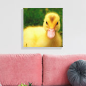 Ein winziges Duckling Leinwanddruck (Insitu (Wohnzimmer))