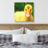 Ein winziges Duckling Leinwanddruck (Insitu (Schlafzimmer))