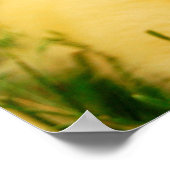 Ein winziges Duckling Poster (Ecke)