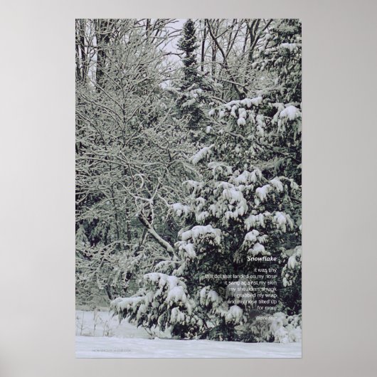 Ein winziges Snowflake-Gedicht, Winterlandschaft Poster (Vorne)