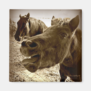 Ein wirklicher Freund Magnet