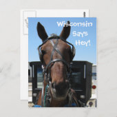 Ein Wisconsin Hey! Postkarte (Vorne/Hinten)