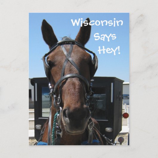 Ein Wisconsin Hey! Postkarte (Vorderseite)