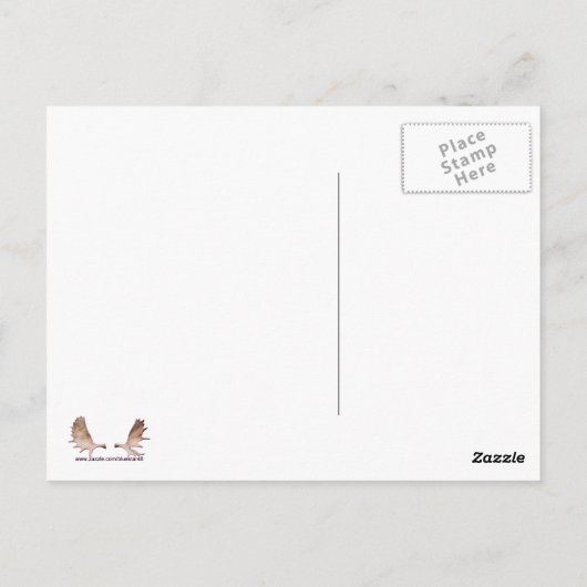 Ein Wolf im Schnee Postkarte (Rückseite)