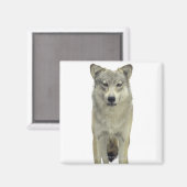 Ein Wolf Magnet (Vorderseite/Rückseite)