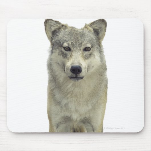 Ein Wolf Mousepad (Vorne)