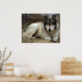 Ein Wolf Warte und beobachtet Poster (Küche)