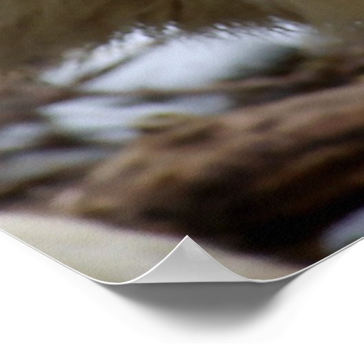 Ein Wolfstreich Poster (Ecke)