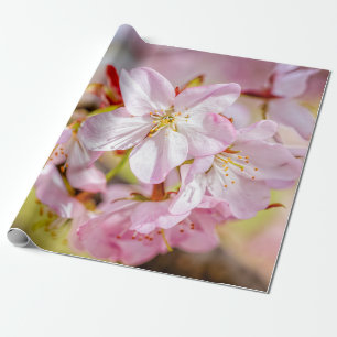 Ein wunderbarer Haufen rosa Sakura-Blume Geschenkpapier