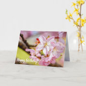 Ein wunderbarer Haufen rosa Sakura-Blume im Frühja Karte (Gelbe Blume)