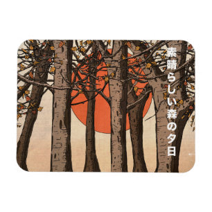 Ein wunderbarer Waldsonnenuntergang Magnet
