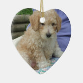 Ein wunderschöner Cavapoo Welpe, abgeschieden Keramik Ornament (Rechts)