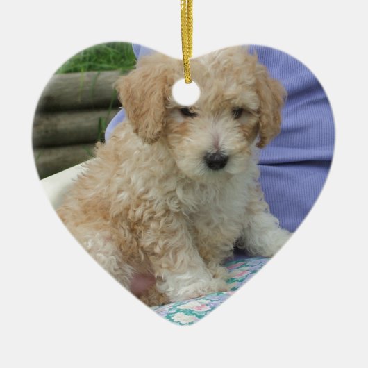 Ein wunderschöner Cavapoo Welpe, abgeschieden Keramik Ornament (Vorne)