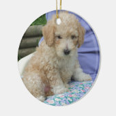 Ein wunderschöner Cavapoo Welpe, abgeschieden Keramikornament (Links)