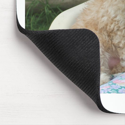 Ein wunderschöner Cavapoo Welpe, abgeschieden Mousepad (Ecke)