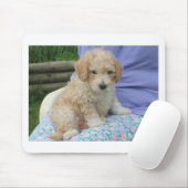 Ein wunderschöner Cavapoo Welpe, abgeschieden Mousepad (Mit Mouse)
